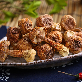 云南姬松茸干货特产精选散装批发巴西干蘑菇菌汤包1000g