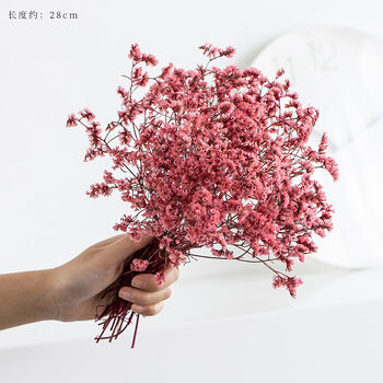 爱满aiman云南天然真花风干干花花束满天星水晶草装饰家具客厅插花