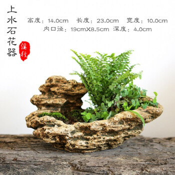 石頭花盆異形創意石盆苔蘚造景植物魚缸造景科威頓瑞龍吟25cmd57大