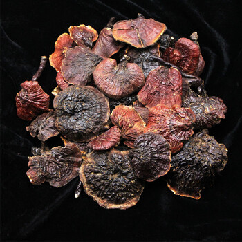 西藏野生灵芝林芝赤灵芝草灵芝片野生整枝500克礼盒礼盒装