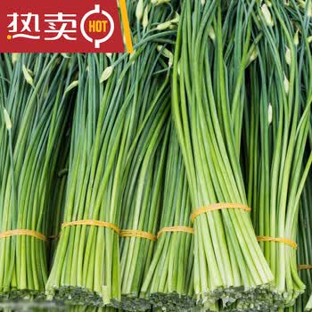 新鲜韭菜苔新鲜蔬菜农家种植韭菜花食用韭花韭菜杆2斤