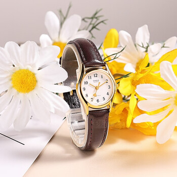 卡西欧(casio)手表女简约气质小圆表复古小金表女表小表盘学生时尚 小