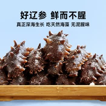 久年热卖款即食海参大连海参鲜活辽参海生8年野生500g500g1115只