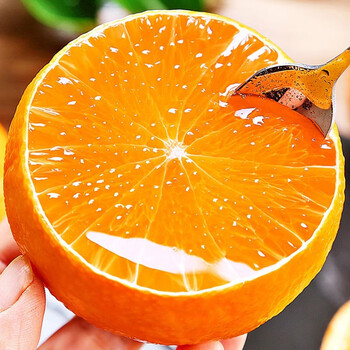 采缇爱媛38号果冻橙新鲜当季水果柑橘子整箱大果粒橙5斤65mm含70mm不