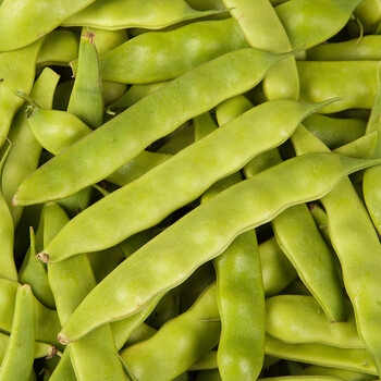 溪味道东北辽宁九月青油豆角5斤东北农家新鲜蔬菜油豆角现摘现发 九月