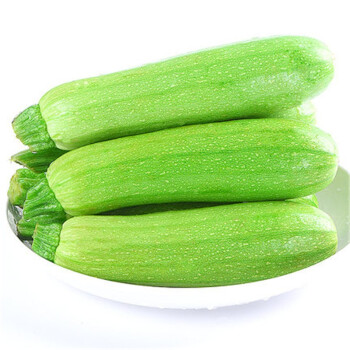 小茭瓜农产品时令蔬菜新鲜西葫芦5斤