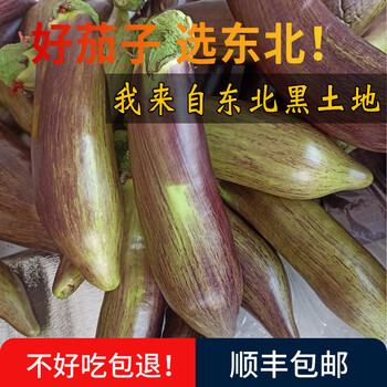 东北花茄子新鲜蔬菜烧烤茄子特产农家青茄子1000g 图片价格品牌报价 京东