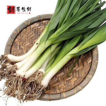 现挖蒜苗新鲜蔬菜红皮青蒜苗农家自种香蒜苗5斤叶菜2500g