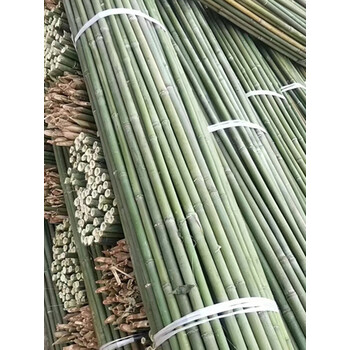 墨薰槿卡梵硕竹竿园艺支架豆角黄瓜支撑杆花架植物园番茄固定爬藤架