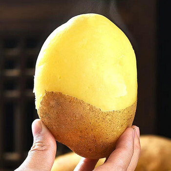 国产新鲜黄心沙地土豆云南黄皮农家自种蔬菜马铃薯 内蒙黄心特大土豆