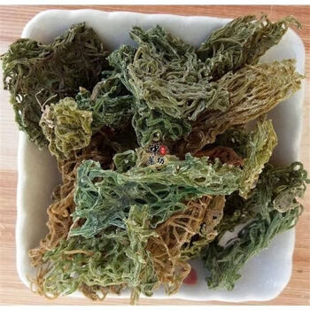 杞里香海粉海粉海兔粉红海粉海挂面今年新货海粉100克