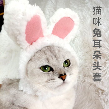 小猫咪的头套网红宠物猫咪兔耳朵头套兔子猫猫帽子可爱生日装饰品头饰