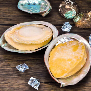 嫩个海参大连鲍鱼黄金鲍冷冻黄金鲍非干货煲炖汤佛跳墙