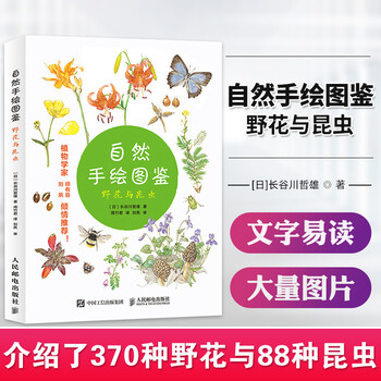自然手绘图鉴野花与昆虫植物图鉴植物百科全书植物书籍花朵的秘密生命植物大全科普书籍 摘要书评试读 京东图书