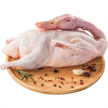 鲜活老鸭现杀鸭子肉整只新鲜麻鸭土鸭炖汤冷冻生鲜生态散养产蛋老母鸭