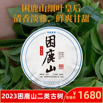 先生见茶先生见茶2023年春困鹿山皇家贡茶二类古树细叶皇后普洱茶生茶