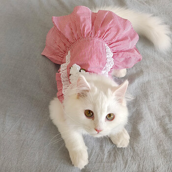 drontal  猫咪衣服夏季薄款布偶猫裙子防掉毛可爱夏天小猫宠物猫猫幼