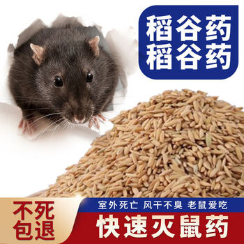 玖纹豹老鼠药烈性稻谷小麦颗粒原粮家用人畜户外三步死除根高度强力共