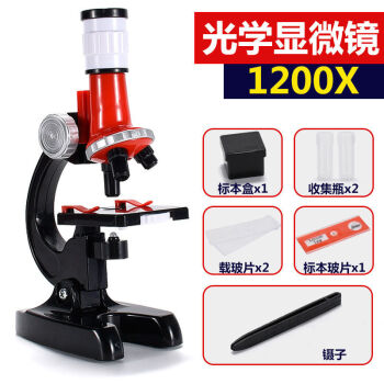 儿童显微镜小学生中学生高倍微生物迷你小型专业科学实验手机高清10标配 图片价格品牌报价 京东
