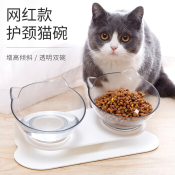 猫咪水碗图片