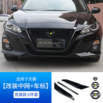 澳颜莱天籁中网装饰条14代轩逸中网黑色车标贴天籁u型前脸改装配件