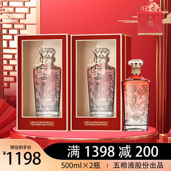 五粮液股份有限公司出品浓香型白酒送礼自饮佳选礼盒52度500ml2瓶兴隆