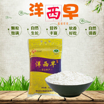 洋西早贡米10斤京山桥米农家自种大米湖北特产米礼袋装20斤