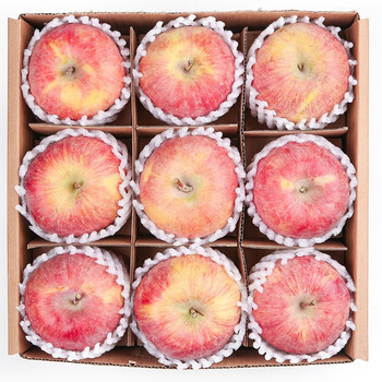 正宗山东红富士苹果大果约912个5斤优鲜