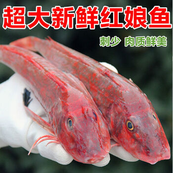 红头鱼海捕海鱼新鲜冷冻生鲜红鱼红娘子红娘鱼 净重5斤(规格7两左右1