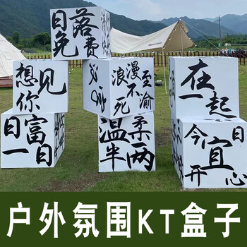 野营地氛围装饰拍照背景板文字卡 今日宜开心(单个盒子)30*30*30cm