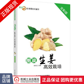 正版包邮图说生姜高效栽培 全彩版 摘要书评试读 京东图书