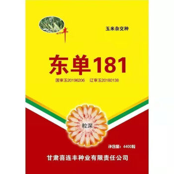 双棒699玉米种子图片