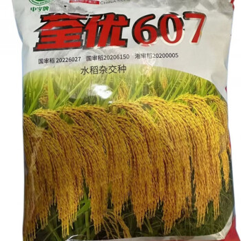 荃广优851水稻品种介绍图片