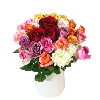 鲜花猫 520情人节红玫瑰花生日礼物鲜花水养鲜花办公室家庭插花 昆明