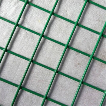 养殖网铁丝网小孔荷兰网浸塑网围栏金属网格阳台防护网铁筛网防鼠 军