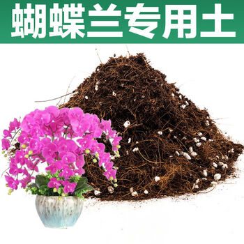 蝴蝶兰专用土家庭园艺种植土小包装种花栽树通用土疏松透气隆鼎2斤