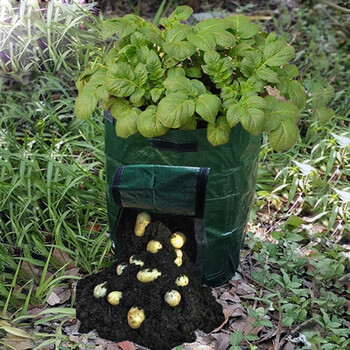 pe落叶堆肥袋种植袋土豆袋厨余垃圾种植袋3534cm种植袋