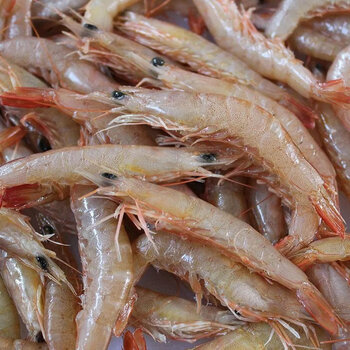 斓优森青岛蛎虾鲜活海虾滑皮虾立虾海捕鹰爪虾小虾大虾新鲜蛎虾顺丰4