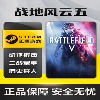 戰地風雲五戰地5battlefieldvsteam正版pc中文國區激活碼