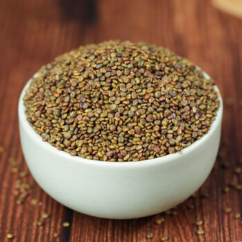 北京同仁堂原料沙苑子500g克新货沙苑子茶沙菀子沙苑蒺藜沙苑蒺藜中