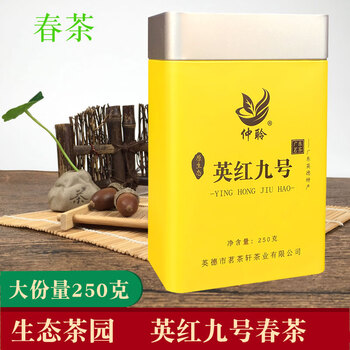 红九号广东名茶茗茶省农科院茶叶研究所生态放心茶仲聆250克罐装春茶
