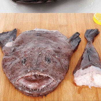 新鲜海捕安康鱼海鲜批发绿头鱼特大无骨鱼海鲜水产 7.5-8斤/2条