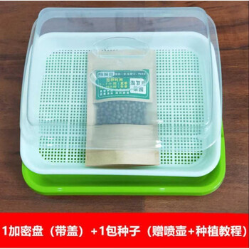 银诚适用绿豆芽发芽盆绿豆芽生种豆芽发芽盆育苗神器盒培育器豆苗种植盘家用的容器自制定制隆鼎1个带保温盖子加密盘种子教 图片