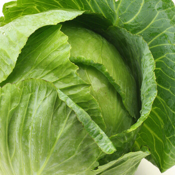 圆白菜 火锅食材 包菜 卷心菜 绿甘蓝 新鲜蔬菜1枚装 禾人 1枚装