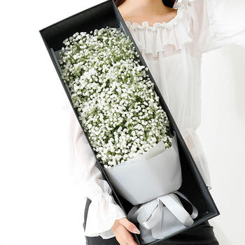 速递满天星花束送女友老婆生日表白全国同城配送 礼盒款—白满天星h78