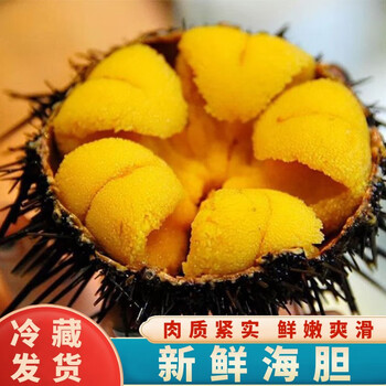 冷藏发货海胆熟黄马粪紫海胆现剥速冻非即食料理马胆冷冻盒装黎麦跃堡
