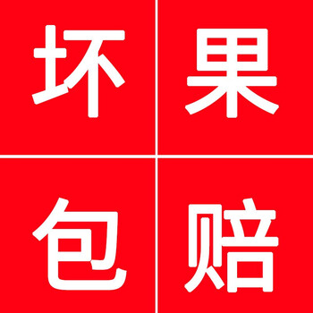 美国新奇士橙黑标3107脐橙 新鲜美橙甜橙子水果 赠品2【坏果包赔】