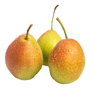 年货直播山西小红香酥梨小梨子6080g3斤装净重28斤