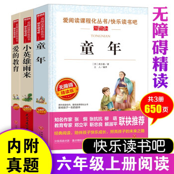 小英雄雨来 童年 爱的教育/六年级上册快乐读书吧文学名著阅读儿童文学共650页（套装共3册）_三年级学习资料小英雄雨来 童年 爱的教育/六年级上册快乐读书吧文学名著阅读儿童文学共650页（套装共3册）