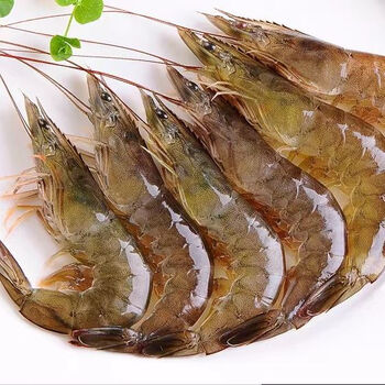西玛仕对虾速冻大对虾基围虾国产南对虾小包装冻虾生鲜